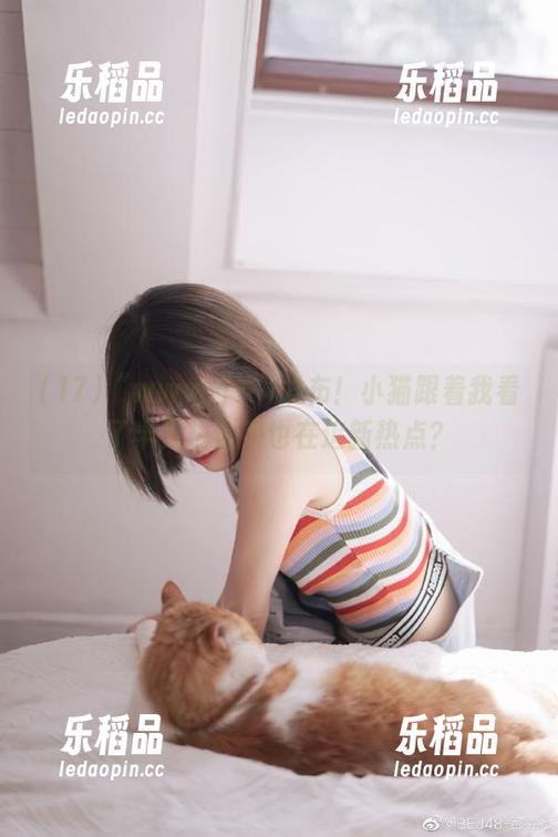17 “www.17”发布!小猫跟着我看了半天,似乎也在追新热点?