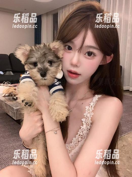 51吃瓜的新传送门，果真又是一场无尽的吃瓜之旅！