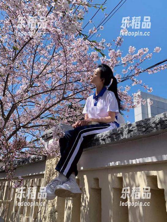 51吃瓜网官网上的瓜，全在这坑里滋滋冒泡