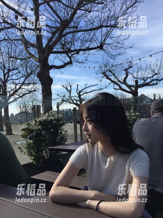 观看黑料与猛料的交锋，吃瓜网的日常宇宙！
