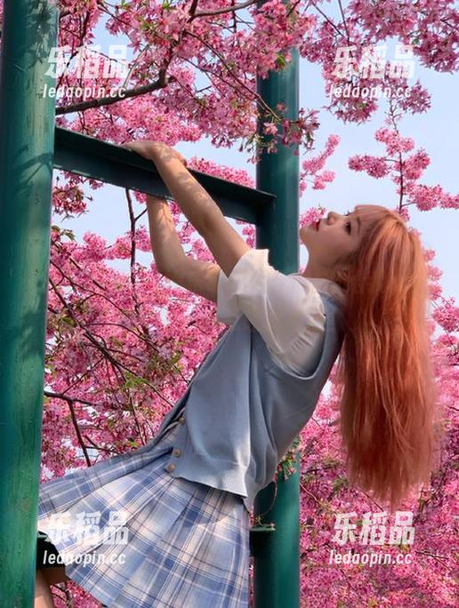 娱乐吃瓜网 娱乐吃瓜网51站,给我无数吃瓜机会却总让我心累!