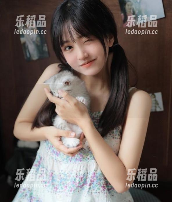 黑网料 隐藏在角落的黑网料,永不迷路,我目击了它从咖啡馆溜走